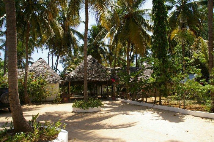 Ndame Beach Lodge Paje Zewnętrze zdjęcie