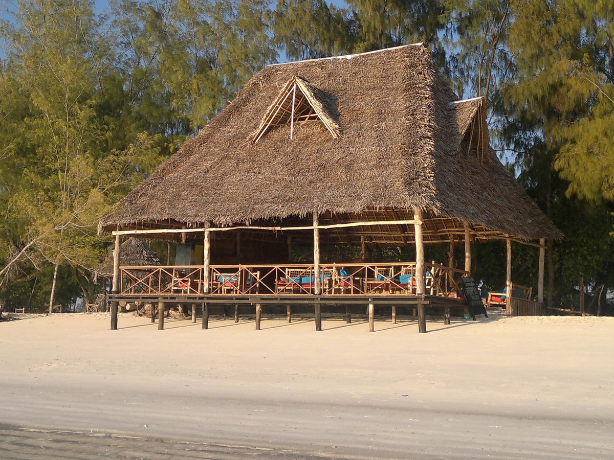 Ndame Beach Lodge Paje Zewnętrze zdjęcie