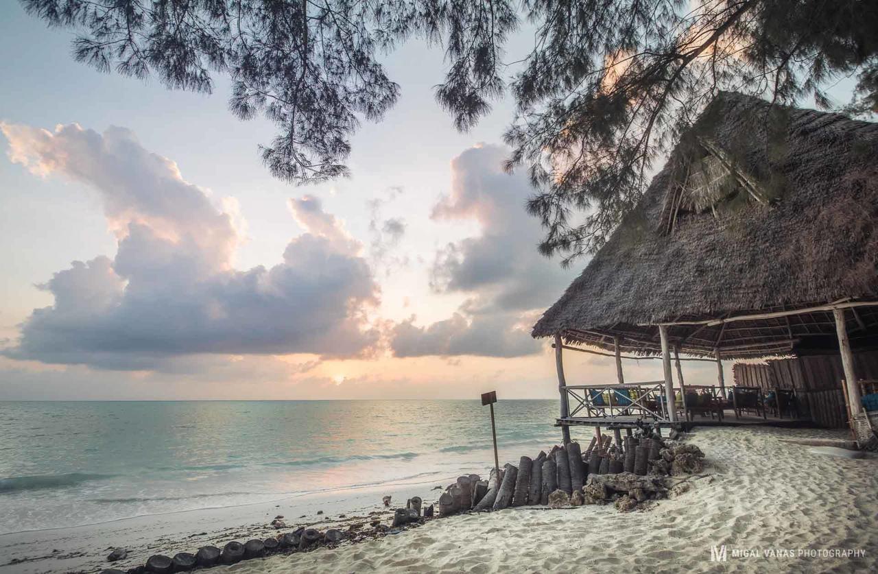 Ndame Beach Lodge Paje Zewnętrze zdjęcie