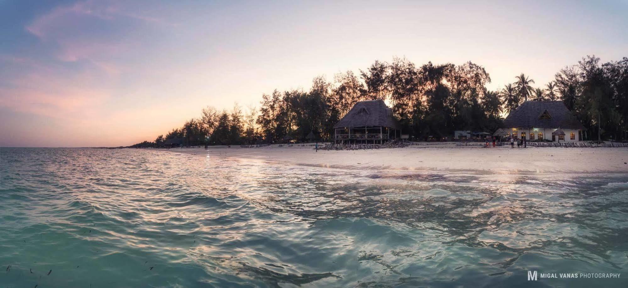 Ndame Beach Lodge Paje Zewnętrze zdjęcie