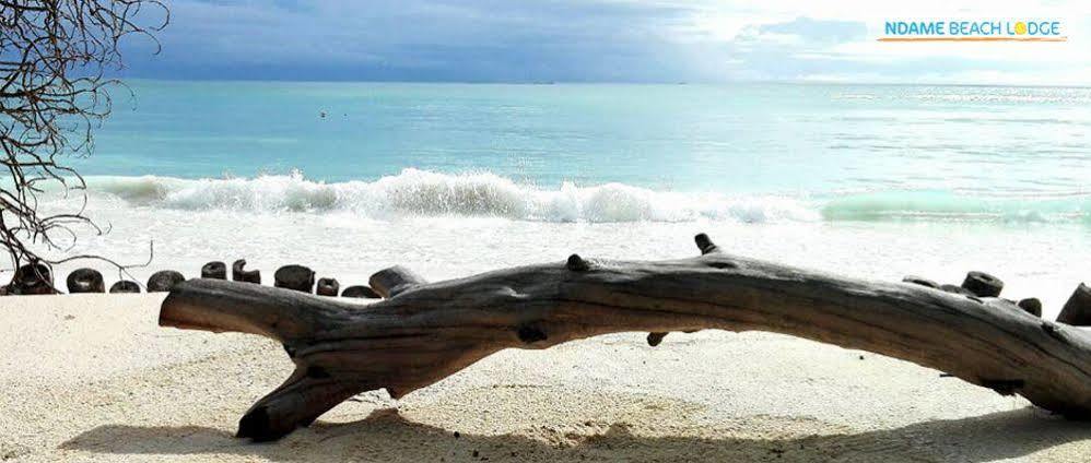 Ndame Beach Lodge Paje Zewnętrze zdjęcie