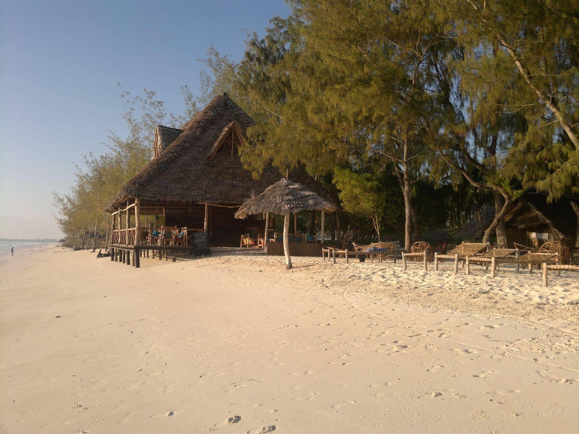 Ndame Beach Lodge Paje Zewnętrze zdjęcie